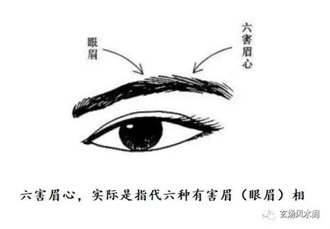 六害眉|六害眉面相算命图解